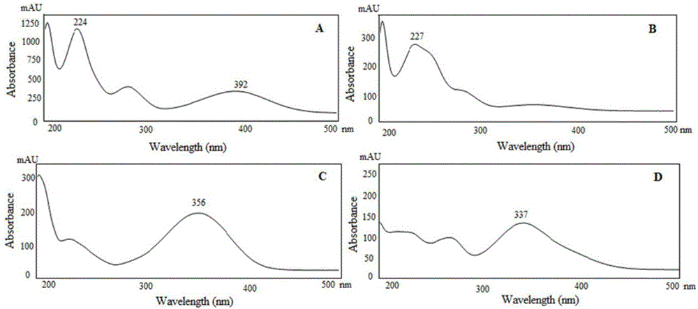 Method using derivatization HPLC-DAD method to determine small-molecule halogenated carboxylic acid in medicine