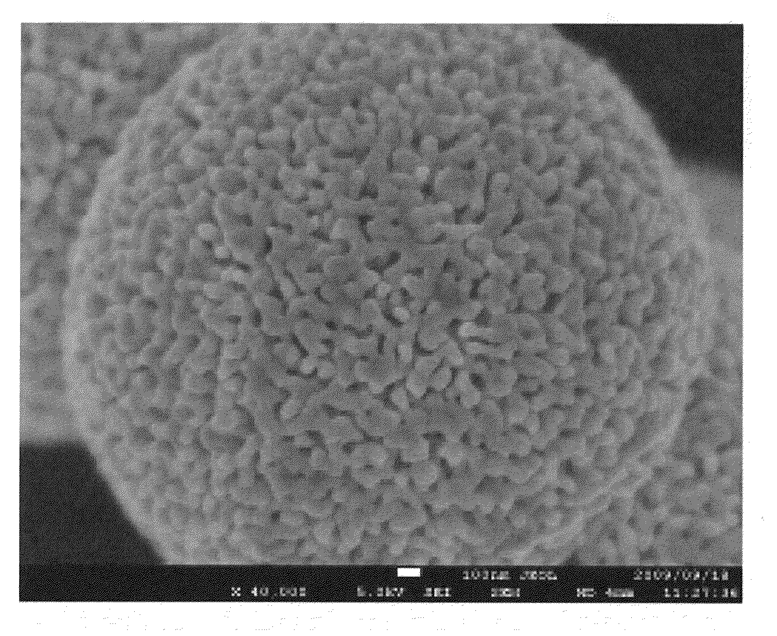 Silver paste composition and method for producing the same