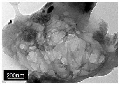 Preparation method of biomass adsorbent for treating wastewater containing metal ions