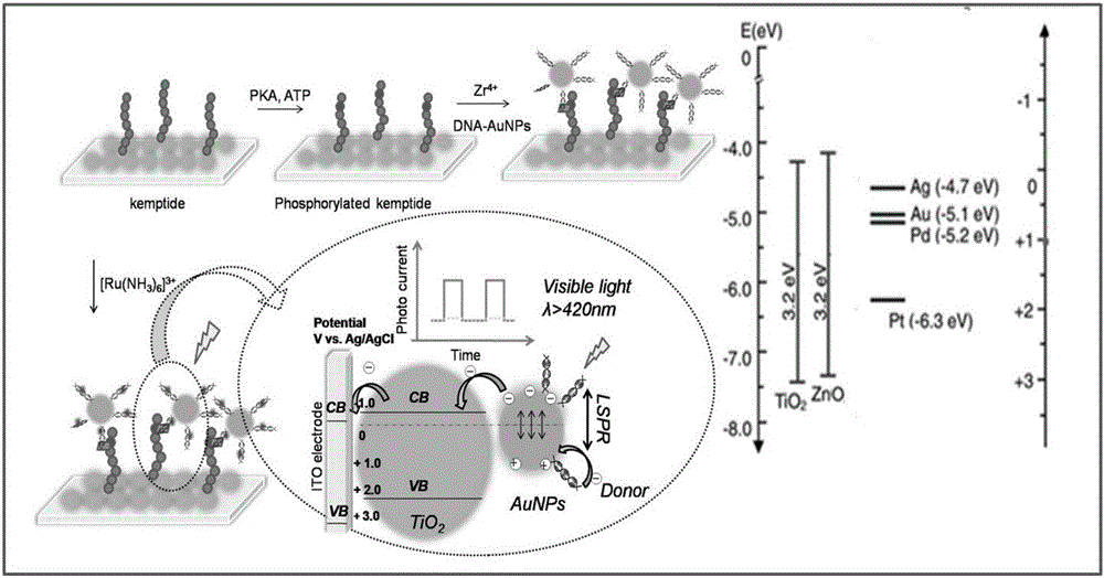 Photoelectric sensor for detection of kinase activity on the basis of local area surface plasma resonance