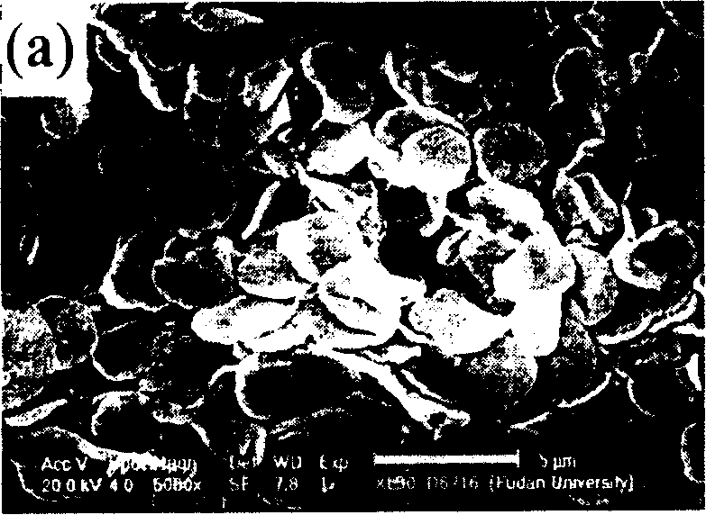 Method for synthesizing silicon oxide thin sheet with three dimension continuous nano pore structure