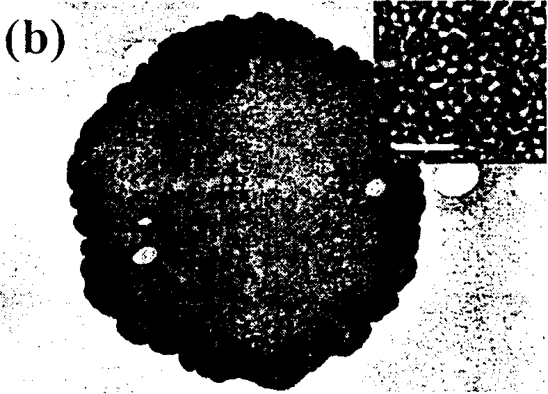 Method for synthesizing silicon oxide thin sheet with three dimension continuous nano pore structure