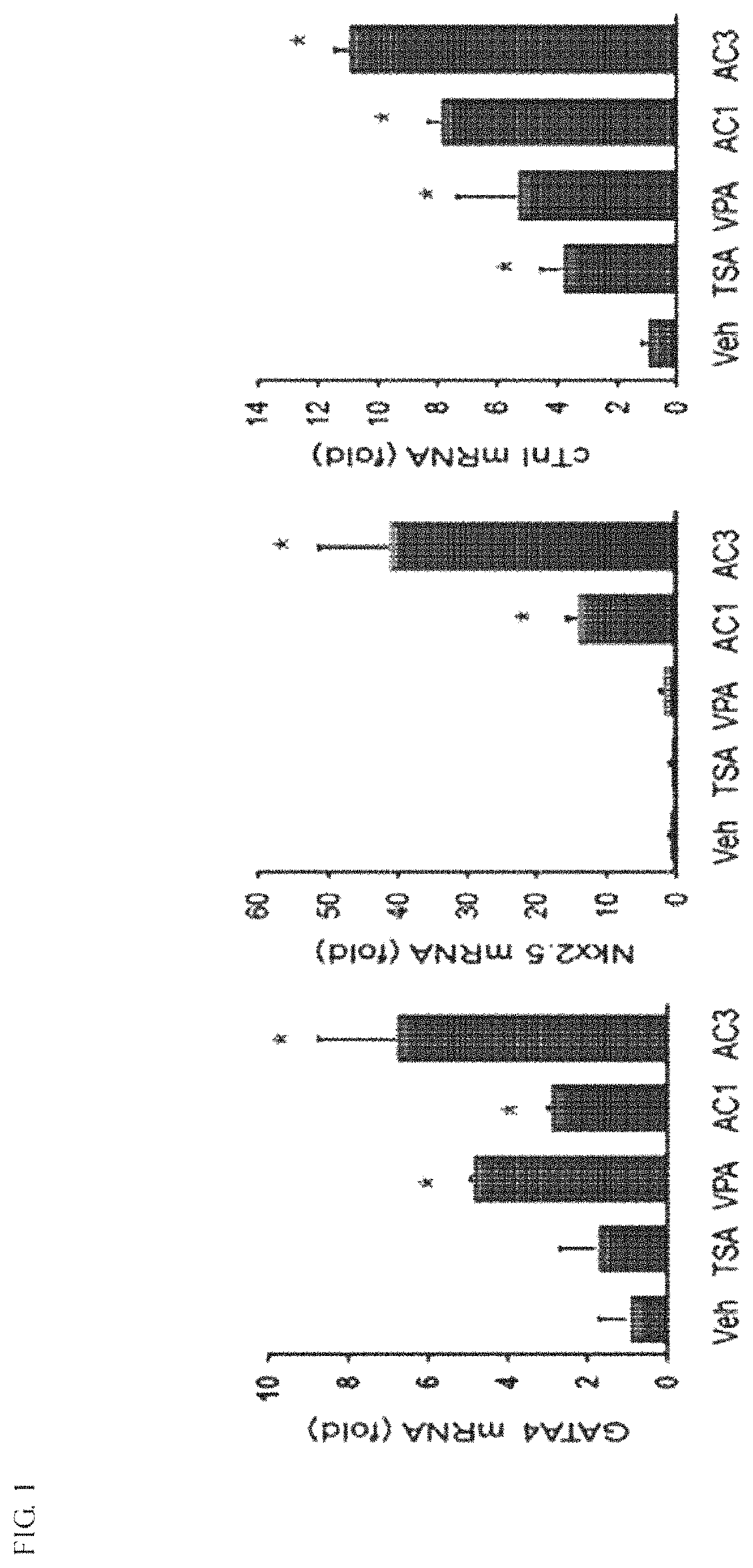 Apicidin-containing composition for inducing differentiation of mesenchymal stem cells into cardiac-committed cells