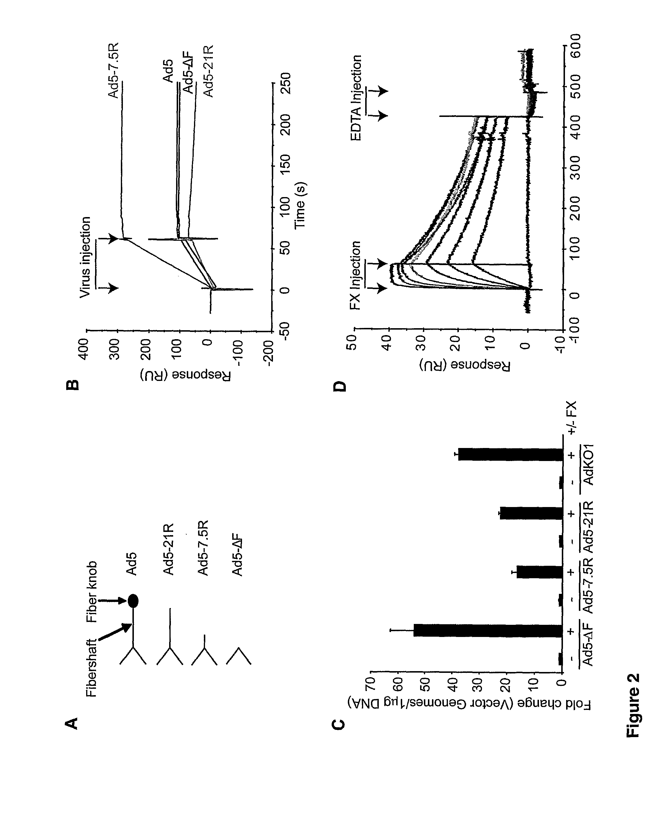 Modulation of Adenoviral Tropism