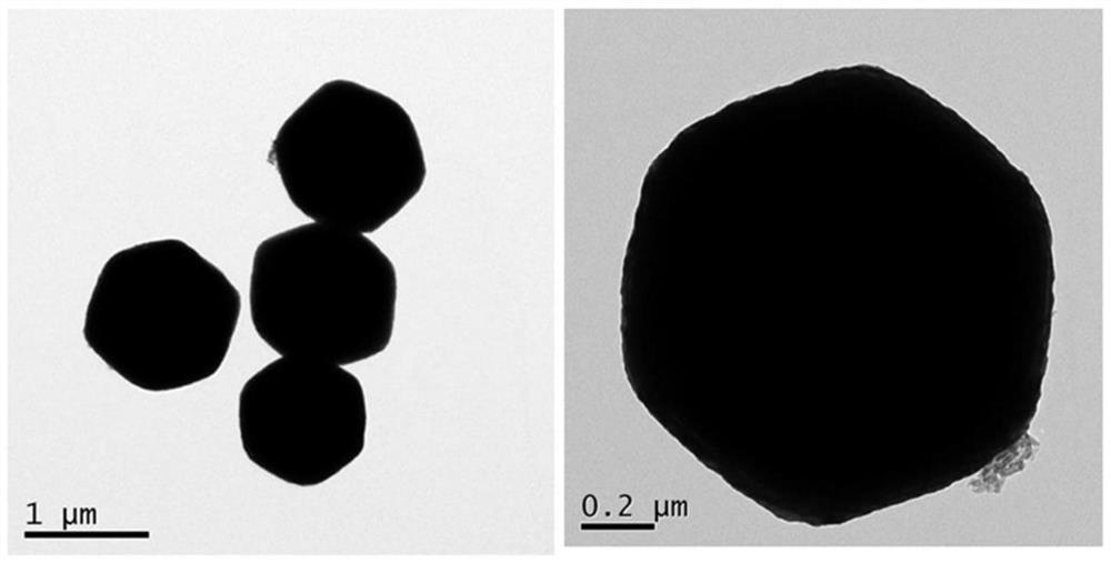 Preparation method of Cu2O-PtCu catalyst and application of Cu2O-PtCu catalyst in sodium borohydride electrooxidation