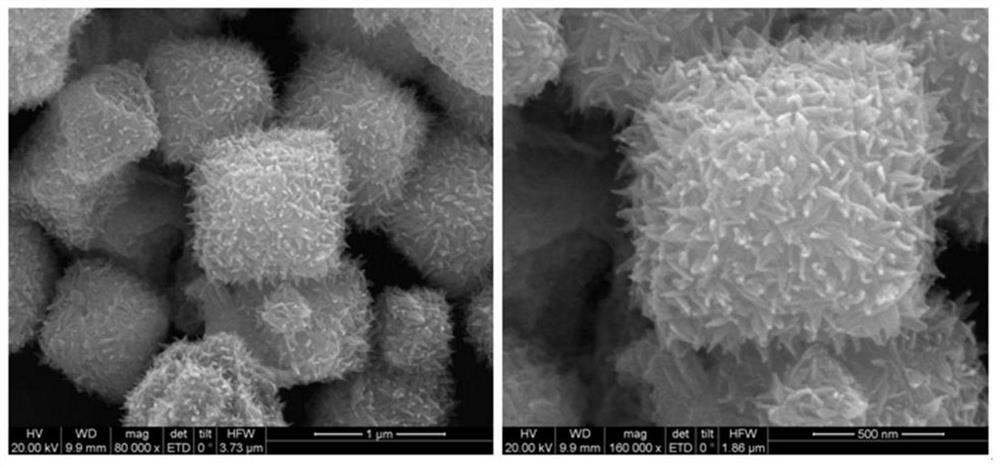 Preparation method of Cu2O-PtCu catalyst and application of Cu2O-PtCu catalyst in sodium borohydride electrooxidation