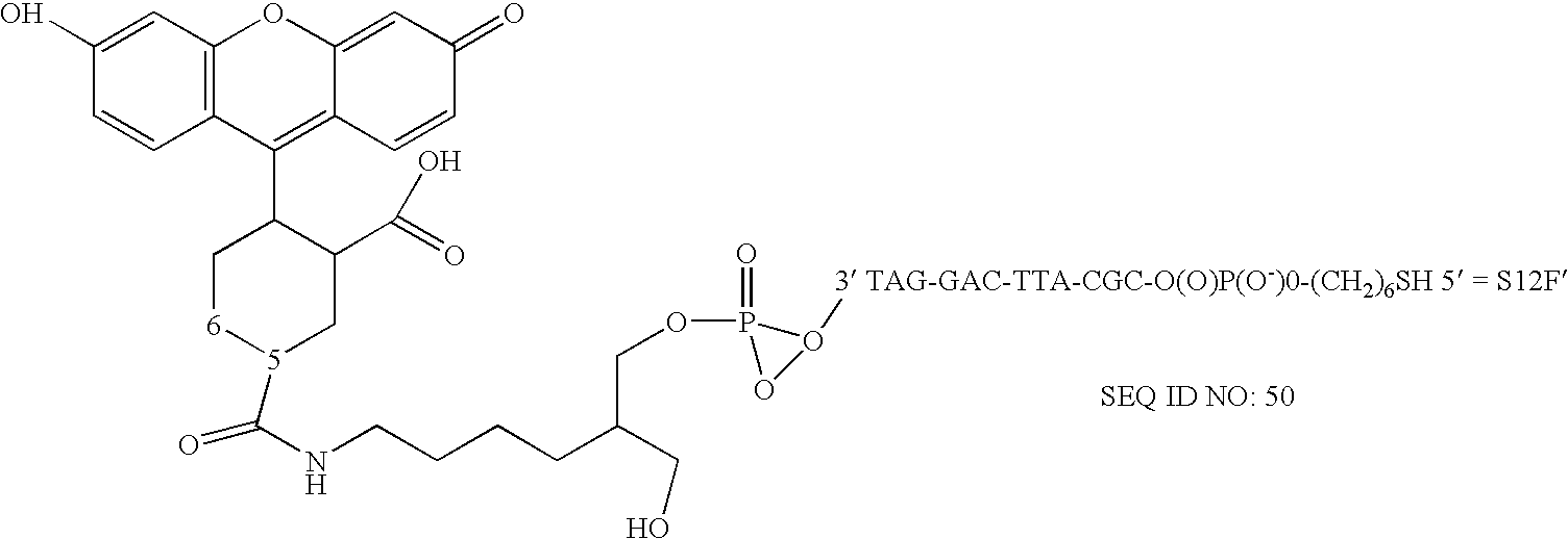 Nanoparticles having oligonucleotides attached thereto and uses therefor