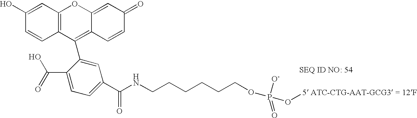 Nanoparticles having oligonucleotides attached thereto and uses therefor