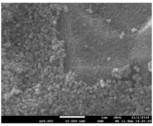 TiO2 nanoparticle film and preparation method thereof