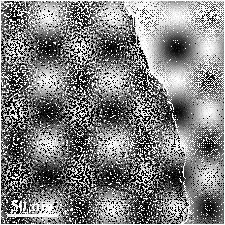 Method for preparing porous titanium dioxide based on light assistance