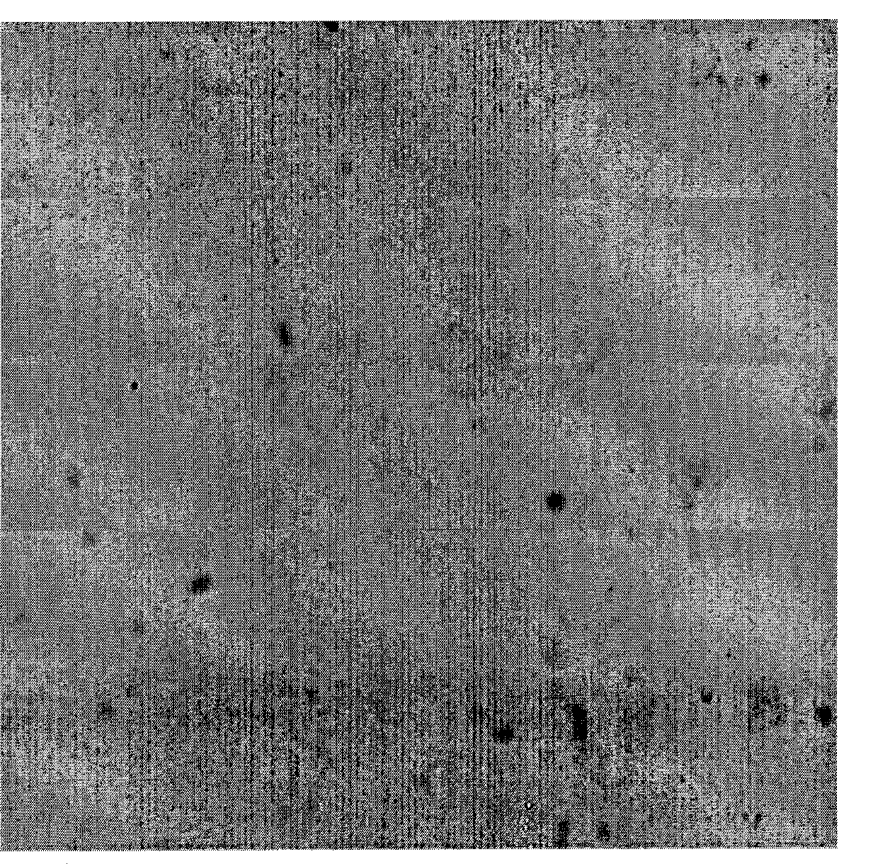 Detection kit for HCCR gene nucleic acid hybridization in situ, detection method and uses thereof