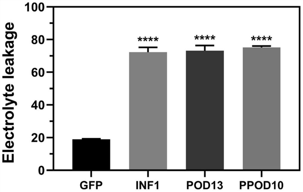 Elicitin gene for inducing accumulation of HR and active oxygen in preservative mould and expression vector and application thereof