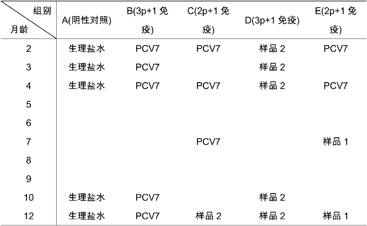 Streptococcus pneumoniae protein vaccine and preparation method thereof