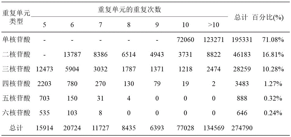 Method for developing simple sequence repeats molecular markers of genome of ammopiptanthus mongolicus (Maxim.) Chengf. plant