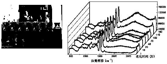 Portable Raman spectrum diagnosis device and method for oil-paper insulation aging state