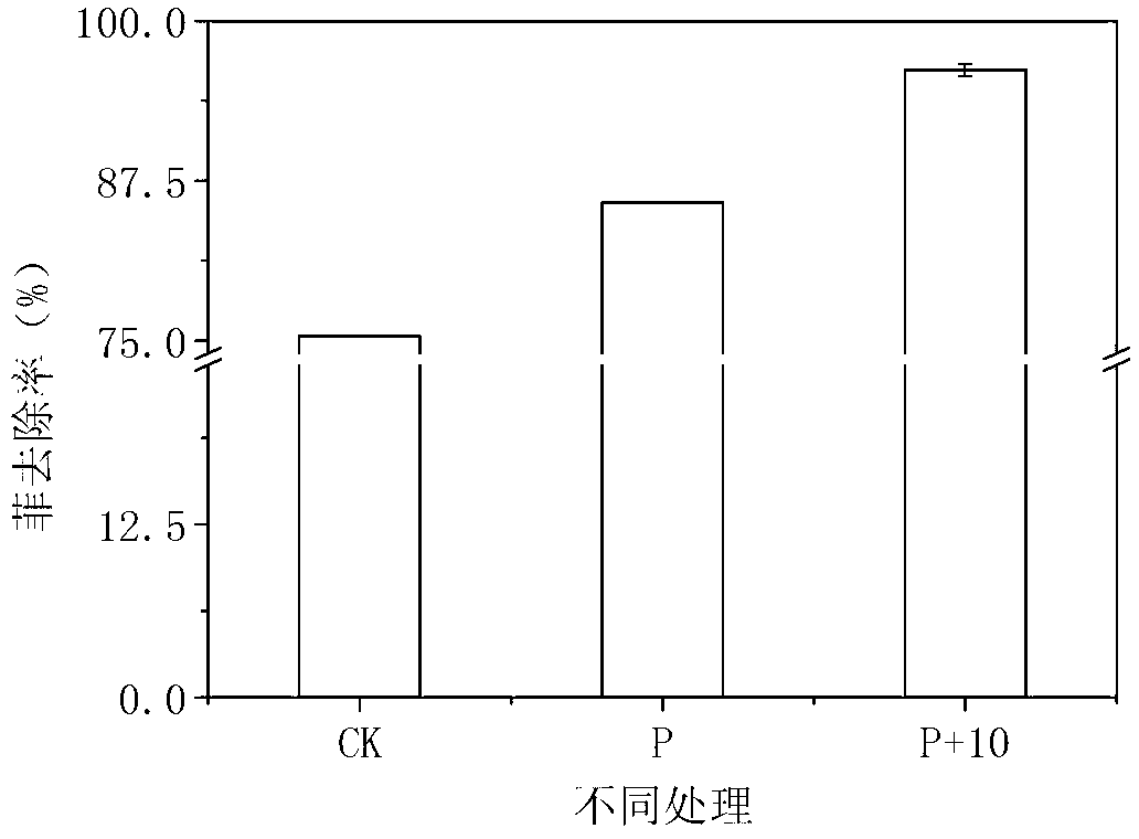 Application of heteroauxin in strengthening phytoremediation of polycyclic aromatic hydrocarbon contaminated soil