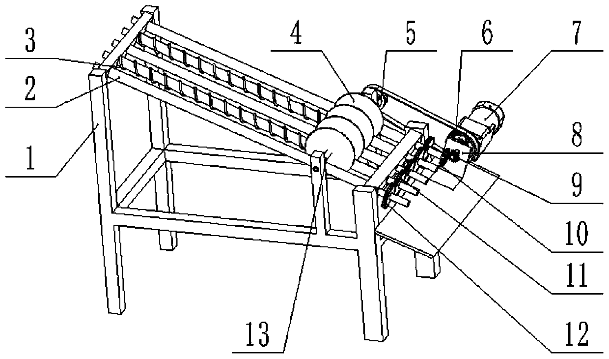 Screw shaft and polished shaft differential conveying posture alignment broccoli secondary cutting device and method