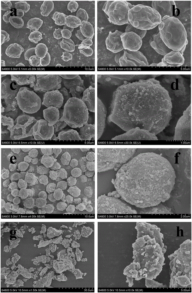 a tio  <sub>2</sub> Preparation method and application of @yeast