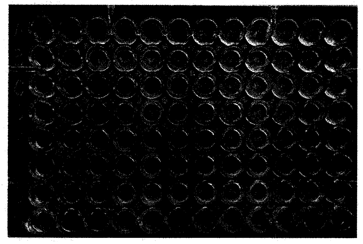 Novel neisseria gonorrhoeae liquid culture medium and method for applying same to drug sensitivity test of neisseria gonorrhoeae