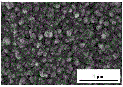 Method for preparing medical femoral head prosthesis dense alumina ceramic