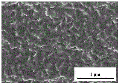 Method for preparing medical femoral head prosthesis dense alumina ceramic