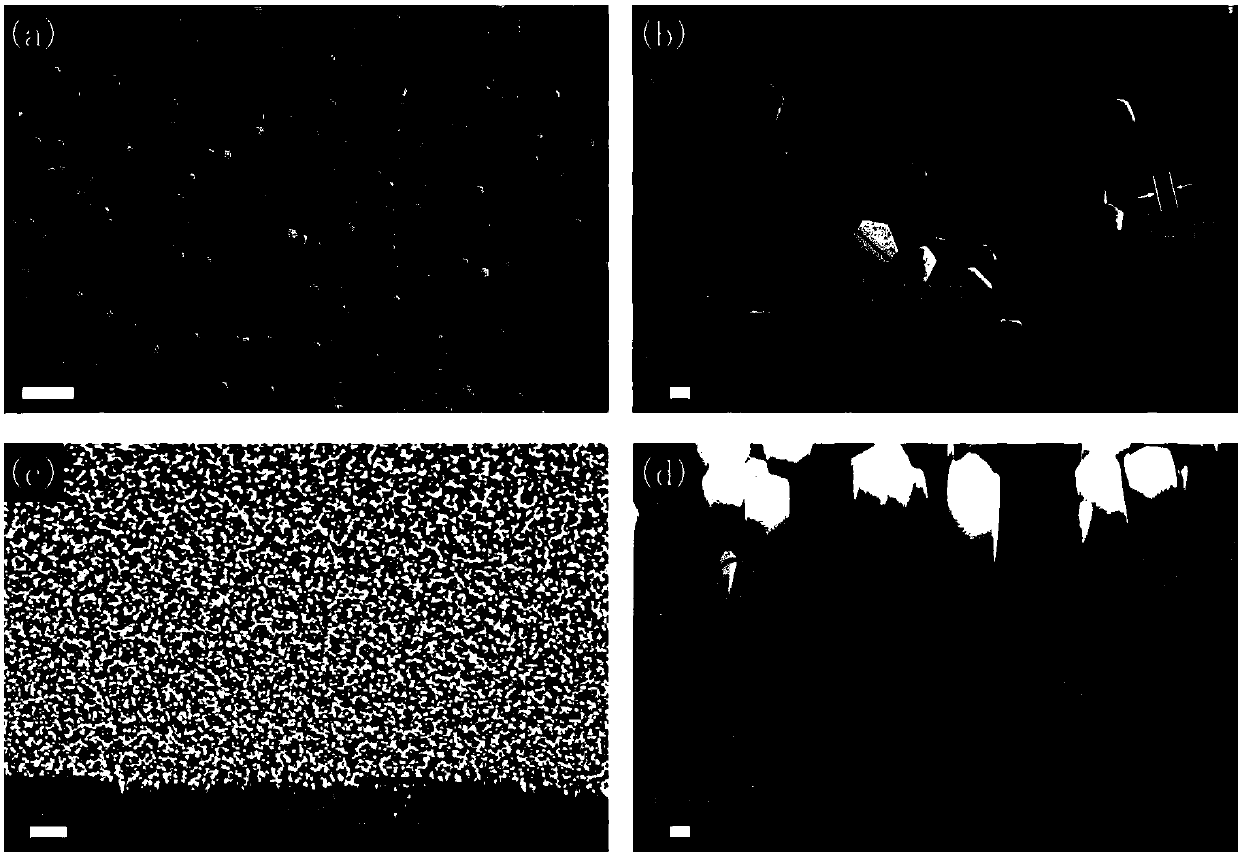 A kind of preparation method of porous zinc oxide nanowire array