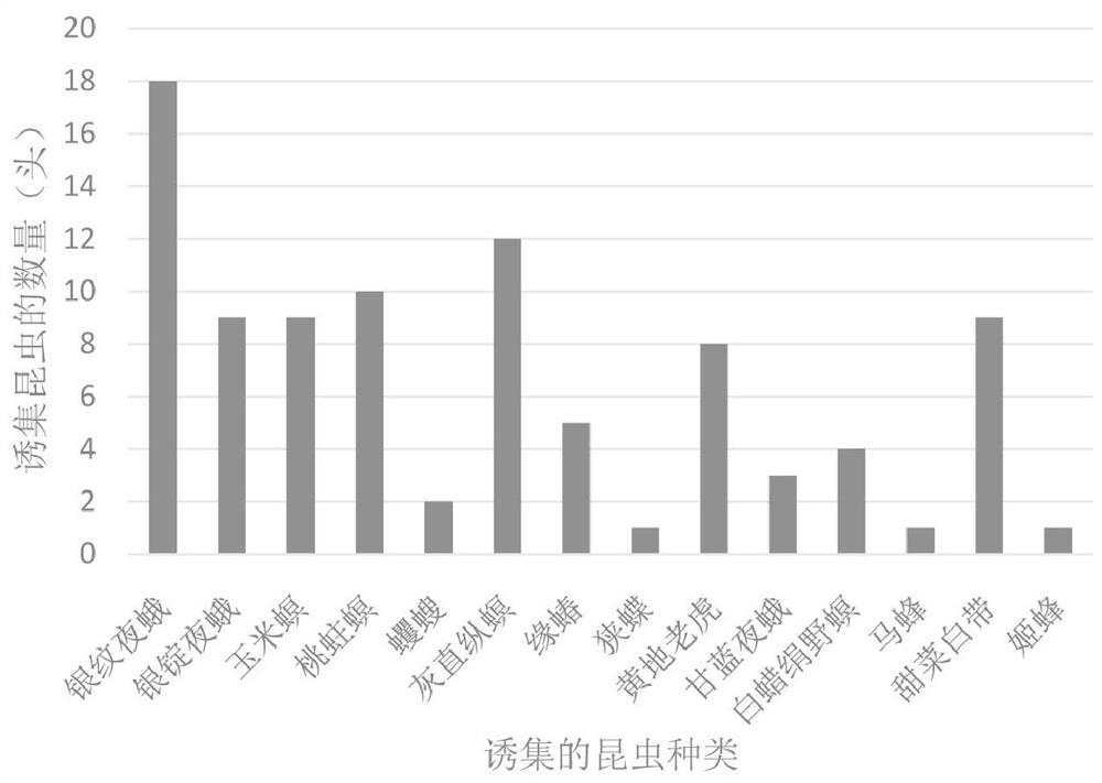 Grassland spodoptera litura imago trapping agent as well as preparation method and application of adult grassland spodoptera litura trapping agent