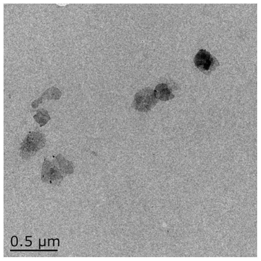 Nano iron sulfide with dual functions of inhibiting bacteria and slowly releasing hydrogen sulfide as well as preparation method and application thereof