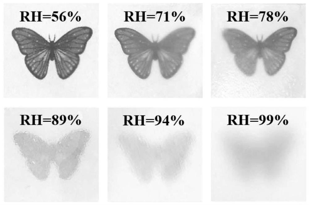 Composite material whose light transmittance changes with humidity and its preparation method and visual humidity-sensitive sensing film