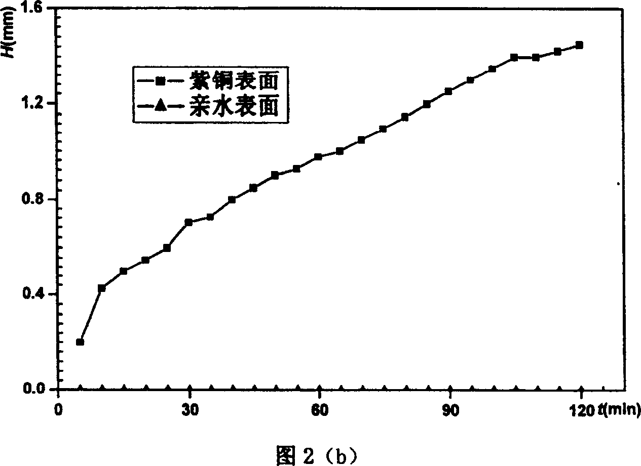 Hydrophilic antifrosting coating