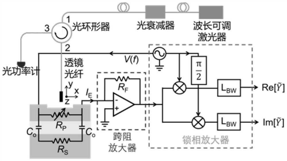 Method for improving infrared response of silicon-based detector through helium ion implantation