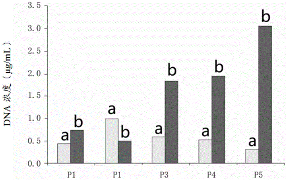 A blood stabilizer and its application