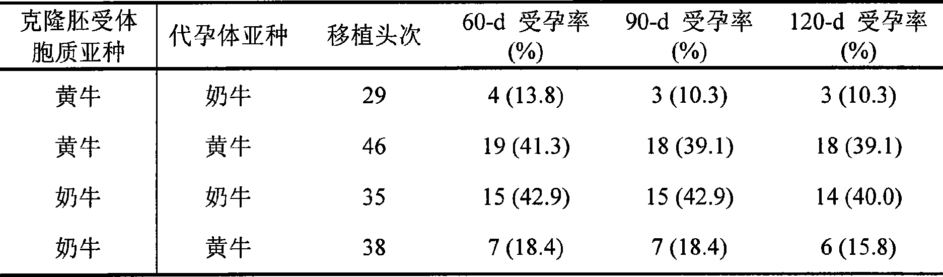 Clone embryo transplantation method