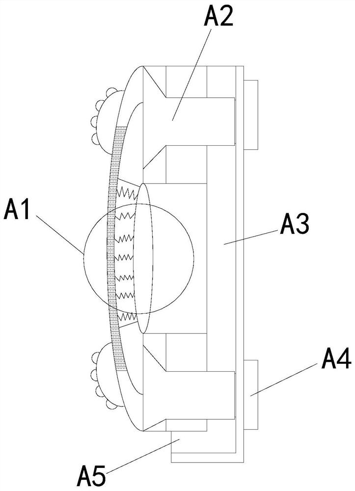 Detection device for microorganisms in fermented bean curd