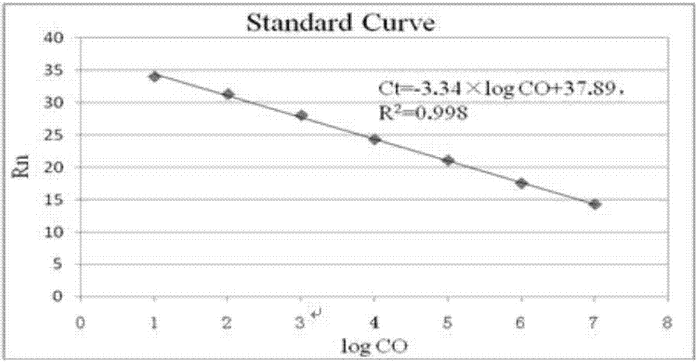 Fluorescent quantitative PCR (polymerase chain reaction) detection method for bee paenibacillus larvae TaqMan