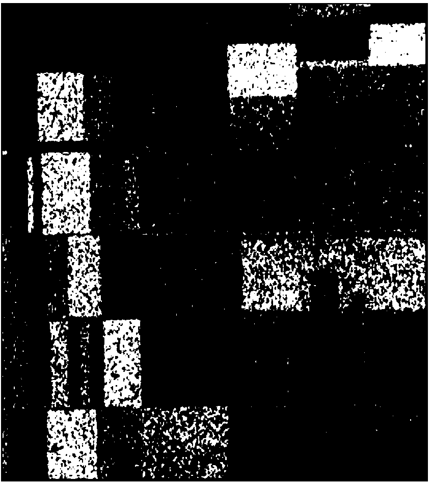 Polarimetric SAR (Synthetic Aperture Radar) image classification method based on SDIT (Secretome-Derived Isotopic Tag) and SVM (Support Vector Machine)