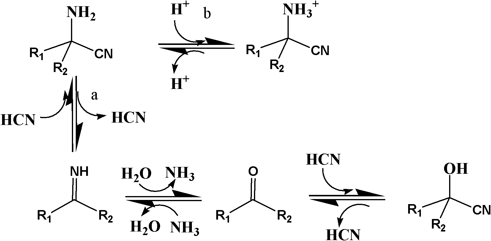 High-throughput screening method of nitrile invertase