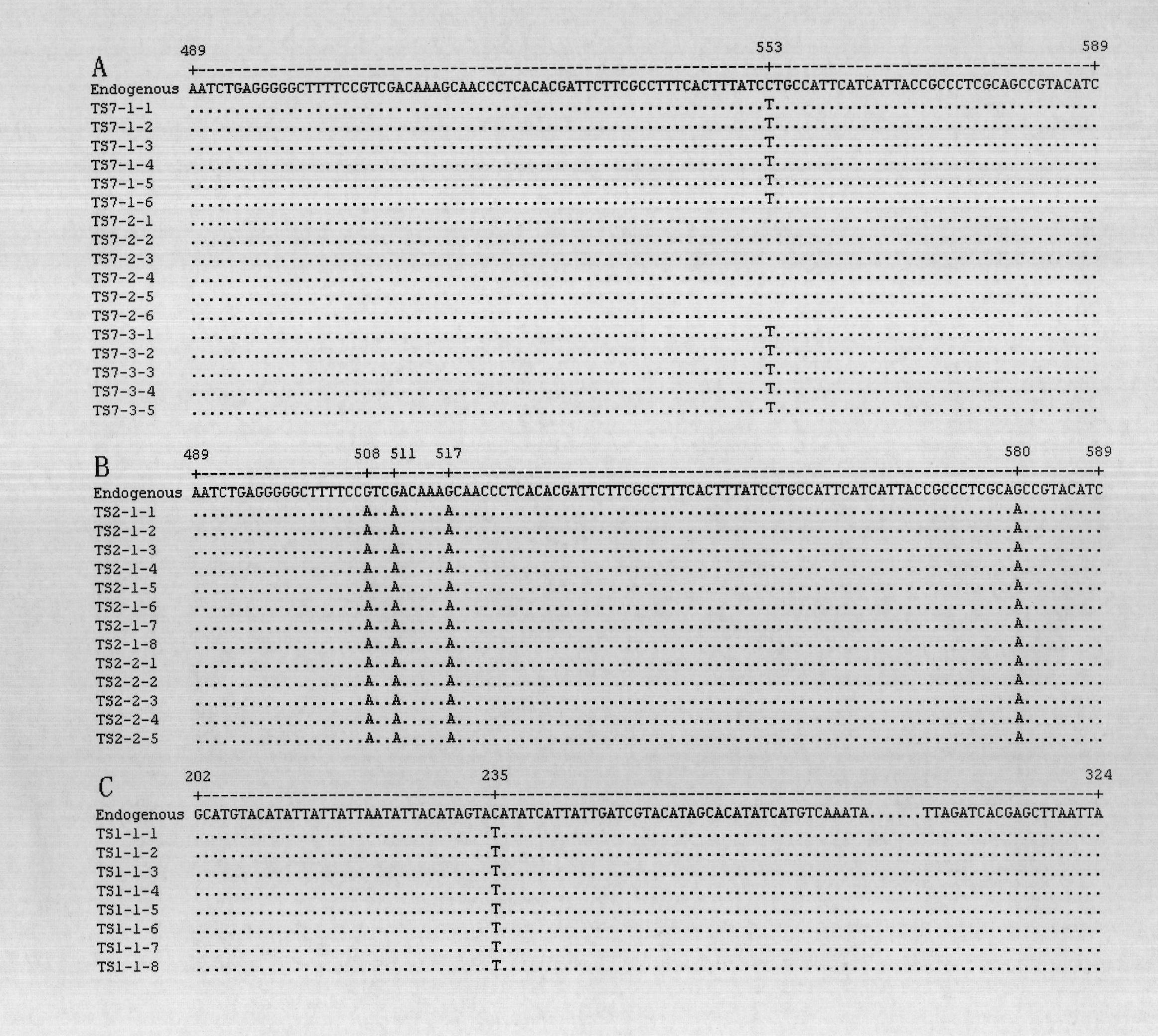 Method for acquiring genetic information of ancient animal