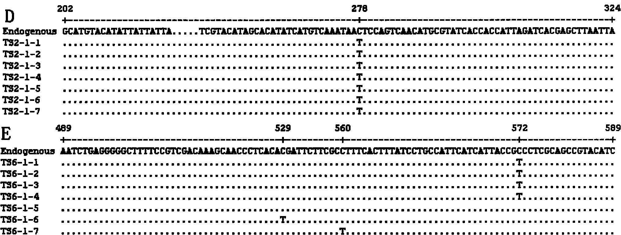 Method for acquiring genetic information of ancient animal