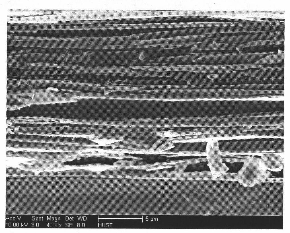 Method for preparing ZnO thick film