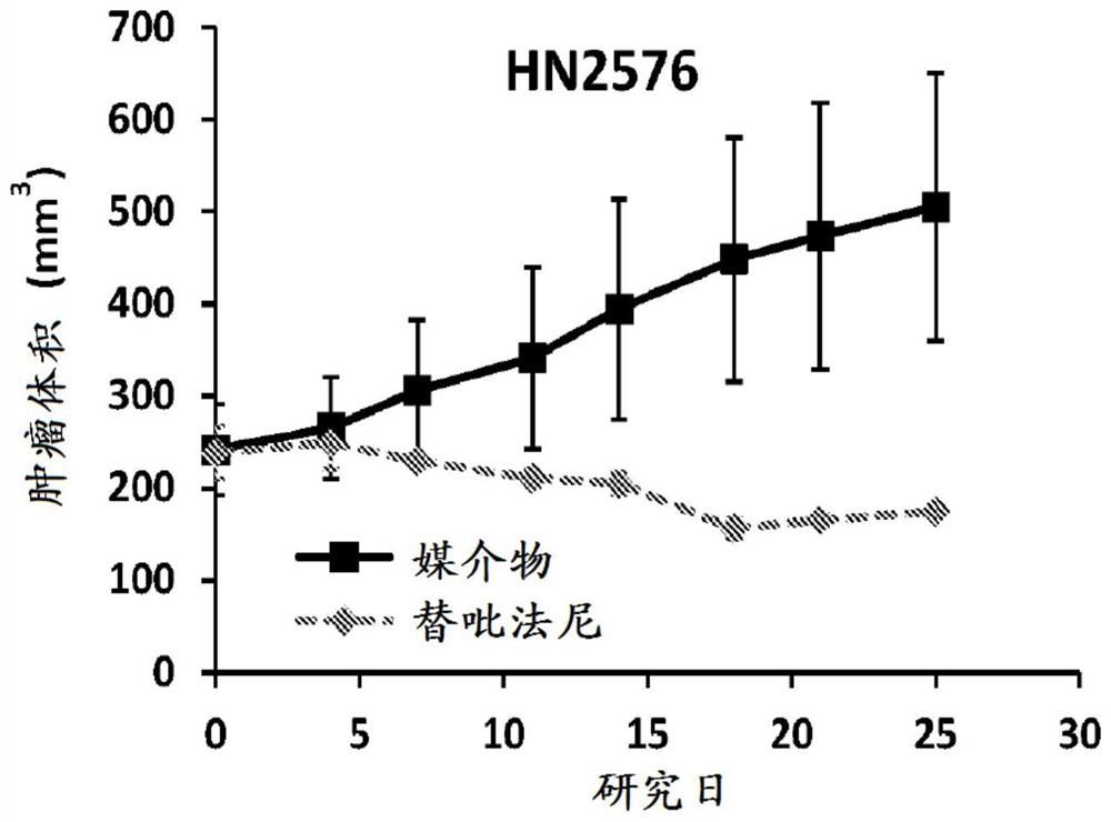 Methods of treating squamous cell carcinomas with farnesyltransferase inhibitors