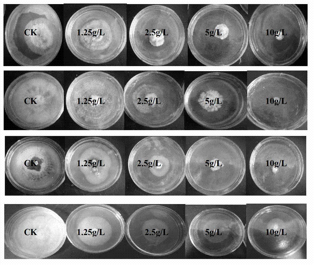 Jerusalem artichoke blade phenolic extract, as well as preparation method and application thereof