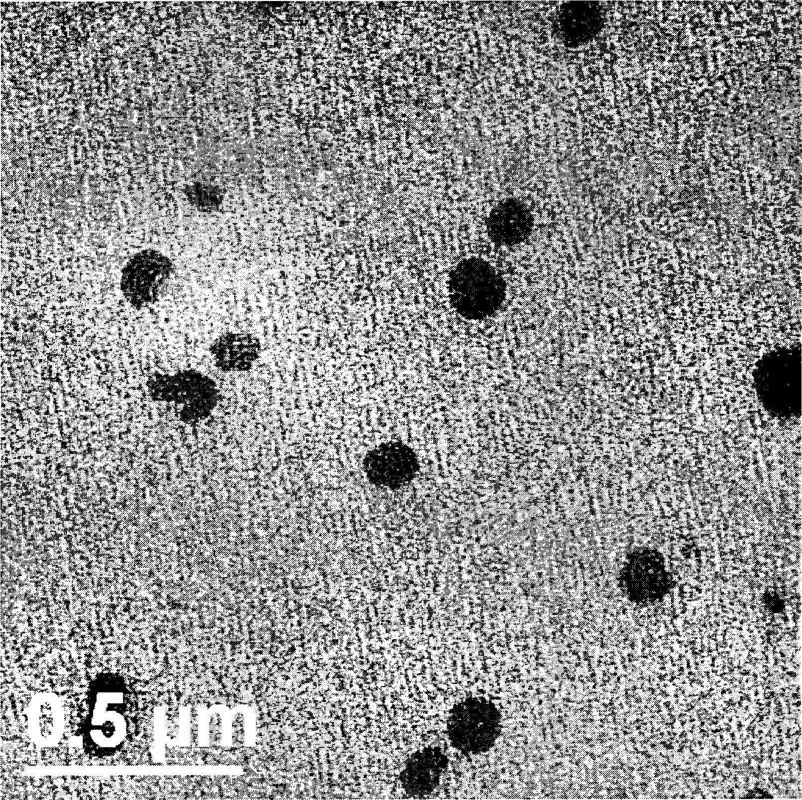 Novel nano preparation with stable protein and preparation method and use thereof