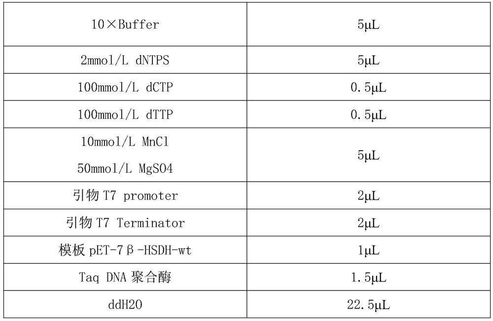 7[beta] hydroxy cholesterol dehydrogenase mutant and application thereof