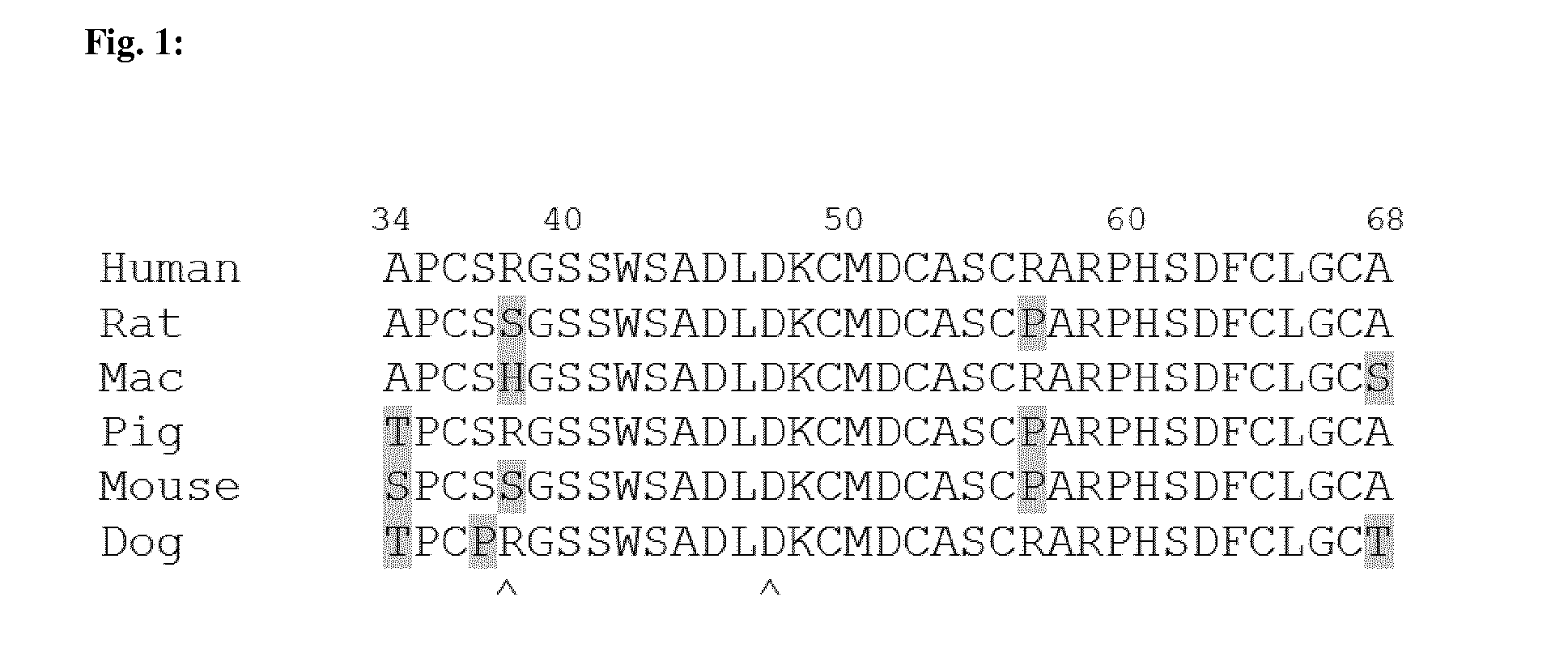 Anti-tweakr antibodies and uses thereof