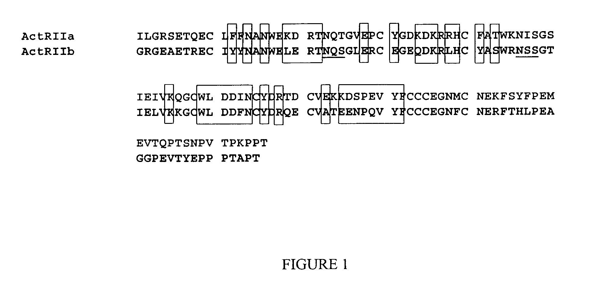 Methods for dosing an actriib antagonist and monitoring of treated patients