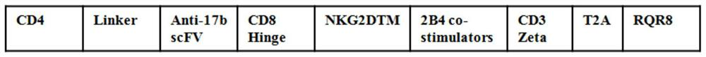 Molecular switch, anti-HIV-1 chimeric antigen receptor with the molecular switch, preparation method, NK cell and application