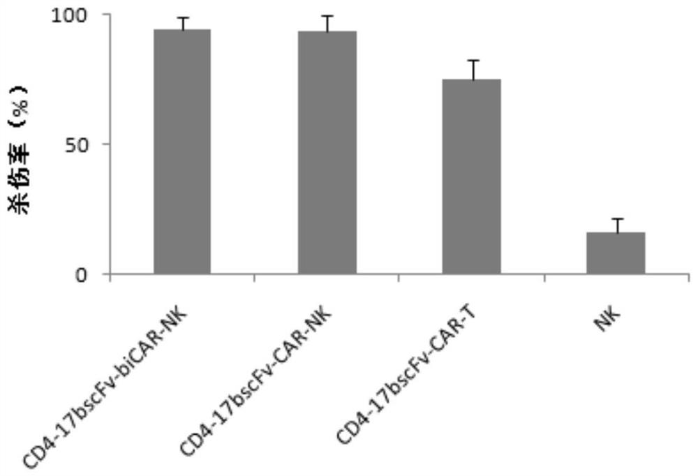 Molecular switch, anti-HIV-1 chimeric antigen receptor with the molecular switch, preparation method, NK cell and application