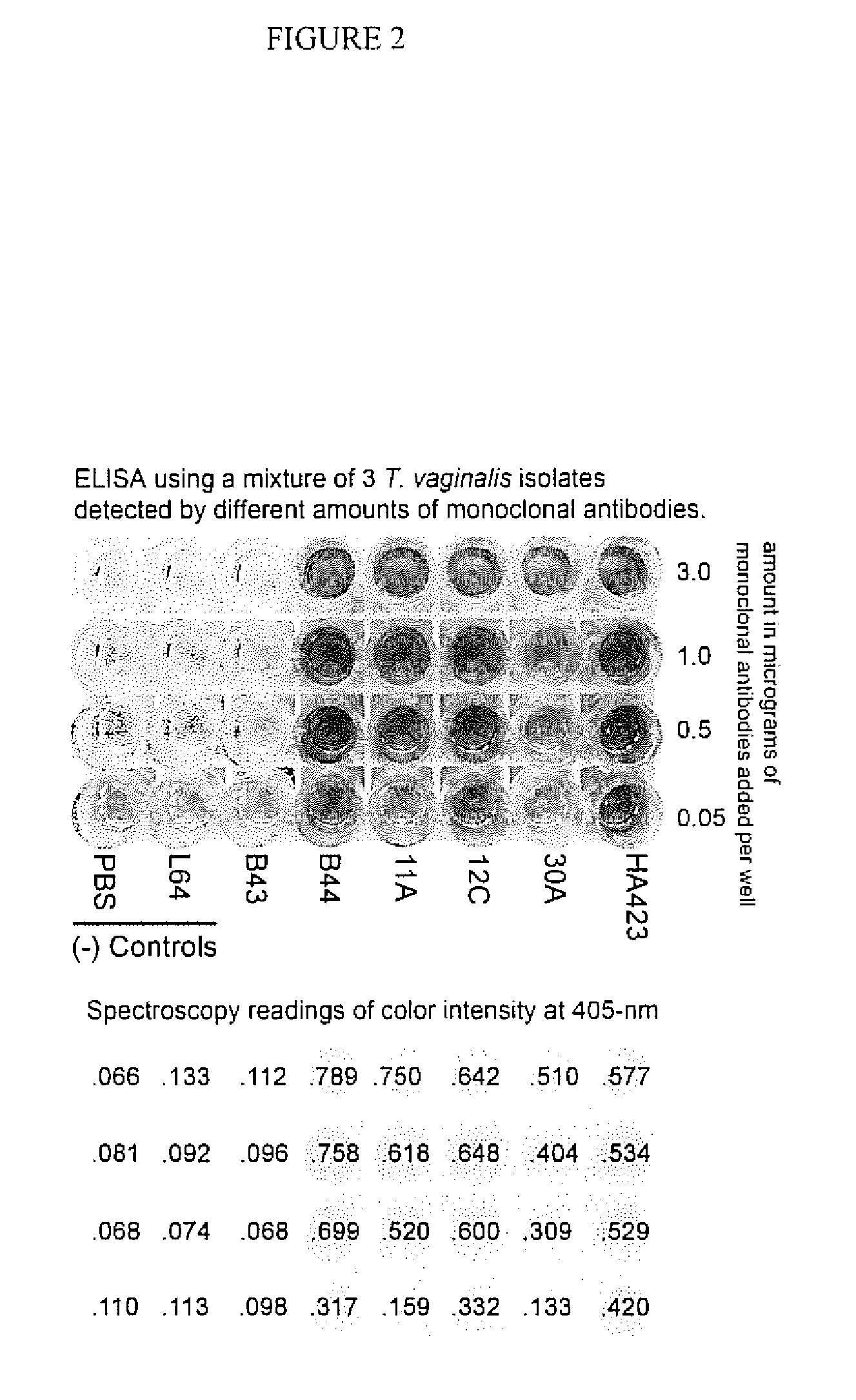 Strings of epitopes useful in diagnosing and eliciting immune responses to sexually transmitted infections