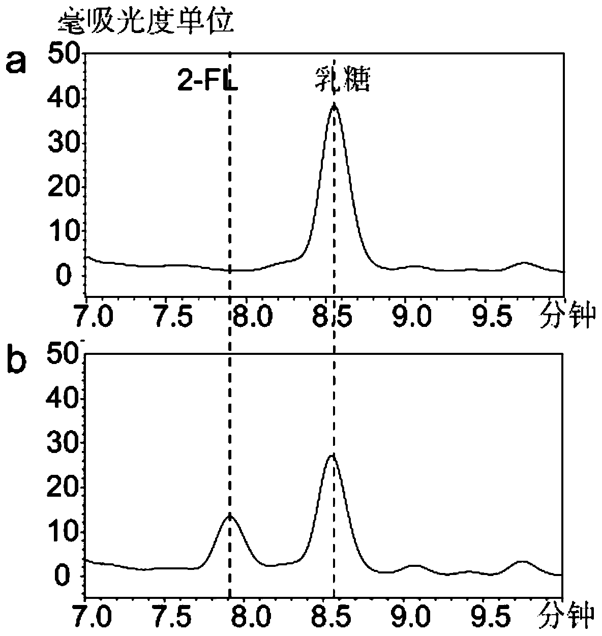 Optimized saccharomyces cerevisiae strain capable of producing fucosyllactose at high yield and application of saccharomyces cerevisiae strain